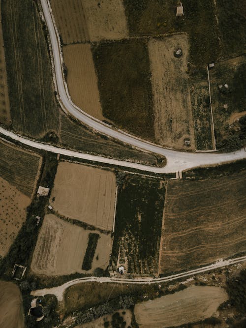 Top View of an Agricultural Field