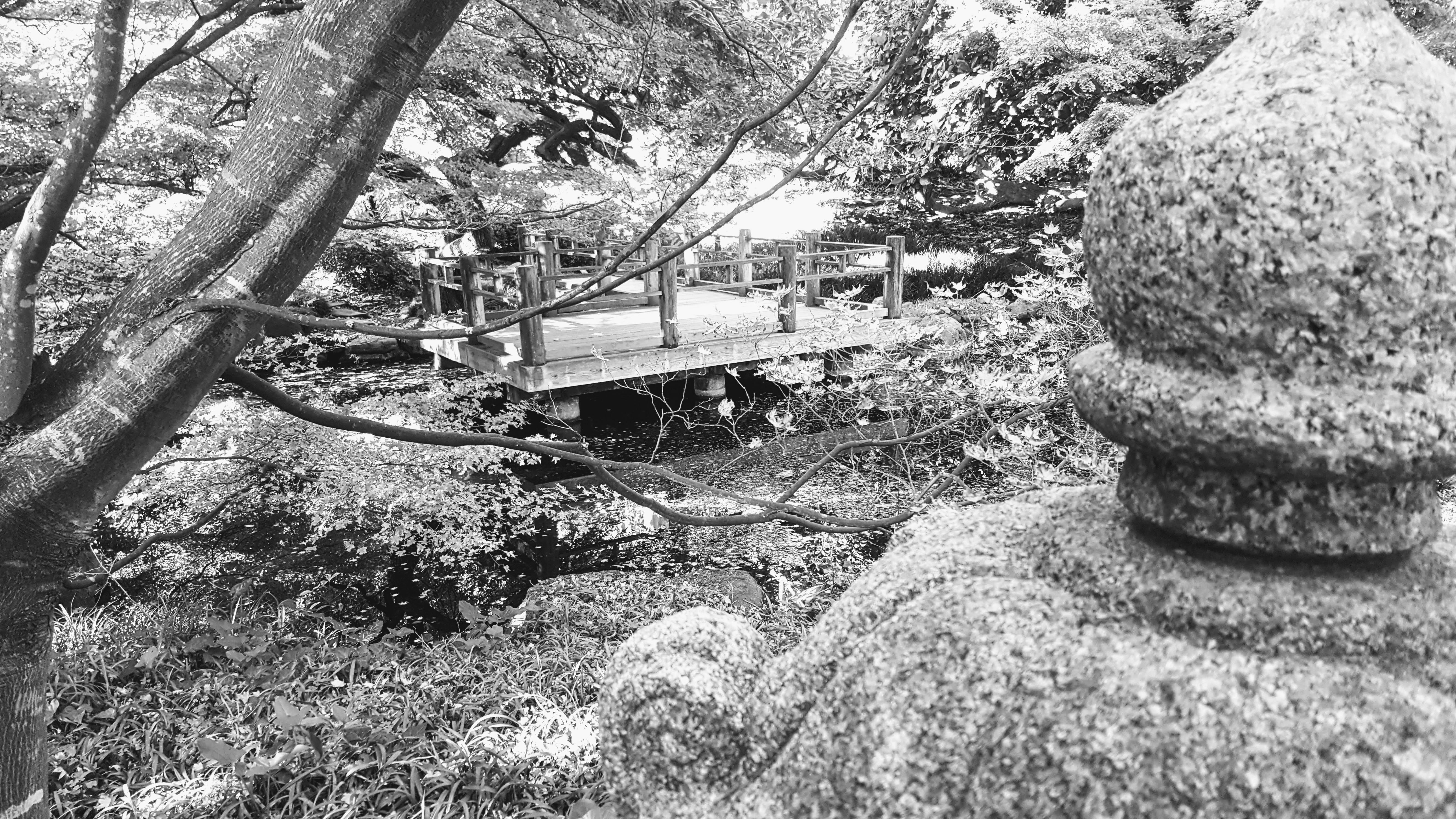 Free stock photo of tranquility