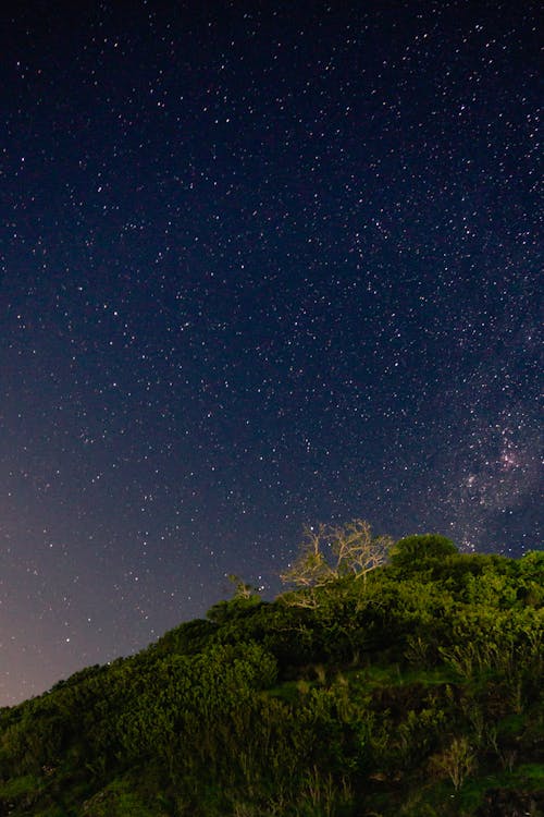 Stars in Night Sky over Grassy Hill