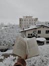 Person Holding a Book Over Snow Covered Tree Branches