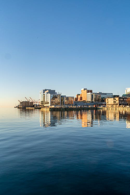 deniz kenarı, dikey atış, halifax içeren Ücretsiz stok fotoğraf