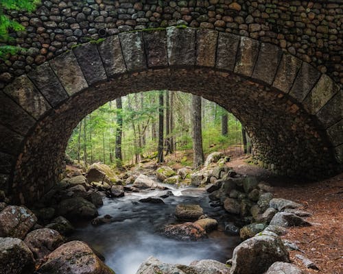 Amazing scenery of old stone arched bridge over narrow wild rocky river flowing through lush green forest in daylight