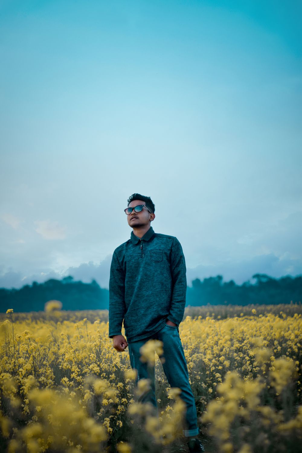 Photo of a Man Standing in a Field with Yellow Flowers · Free Stock Photo