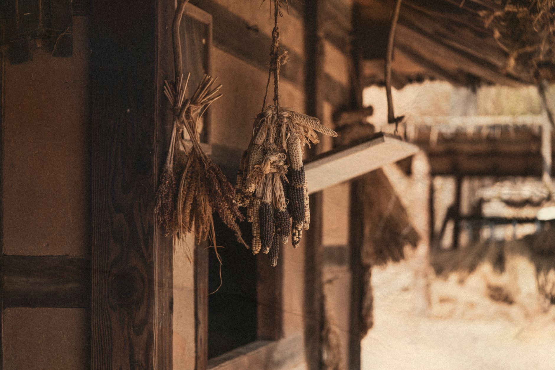 A rural Thai outbuilding with tethered roosters, empty barrels, and a quiet weekend gathering nearby