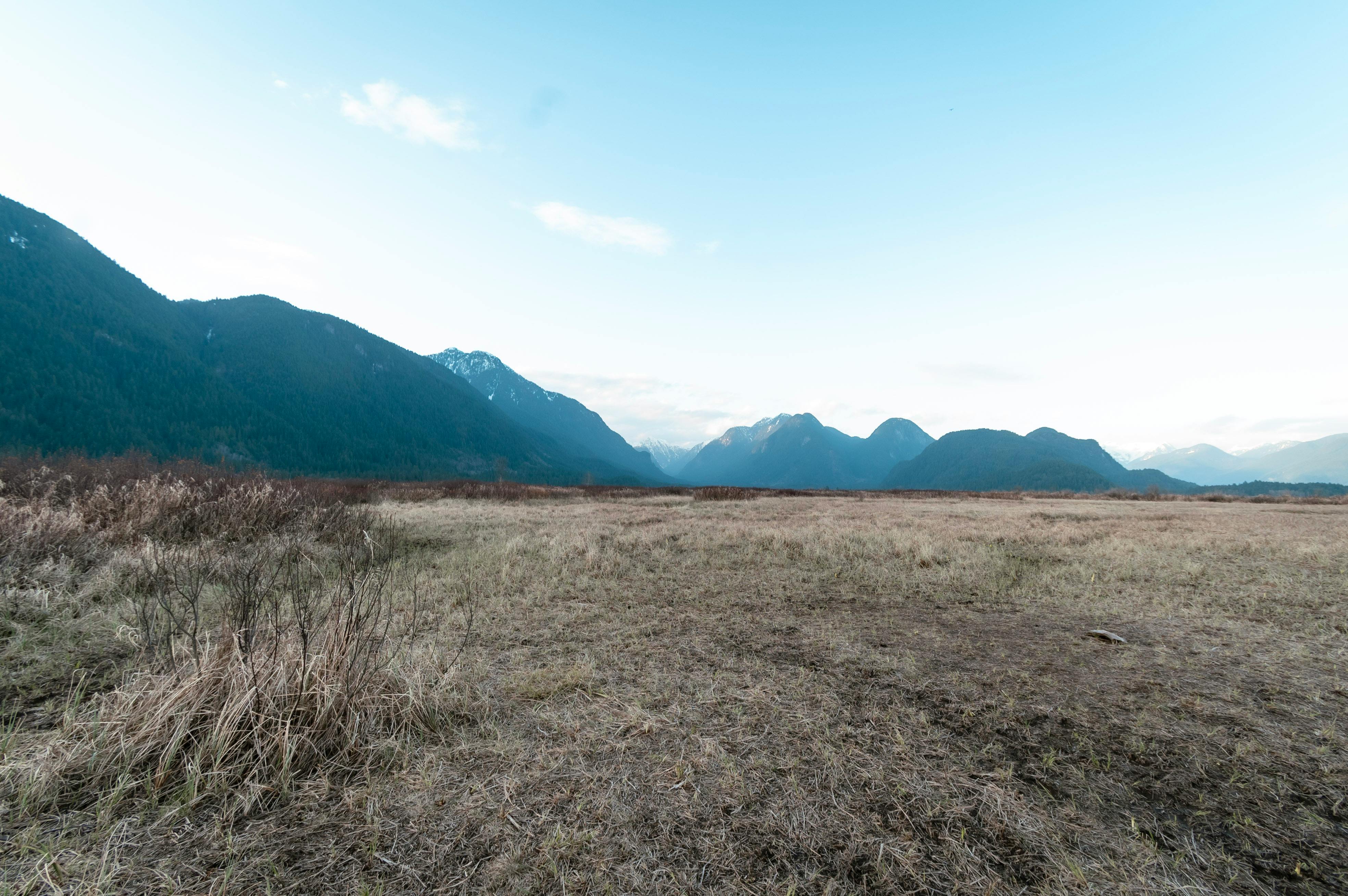 Expansive view of a tranquil meadow with mountain ranges under a clear blue sky.