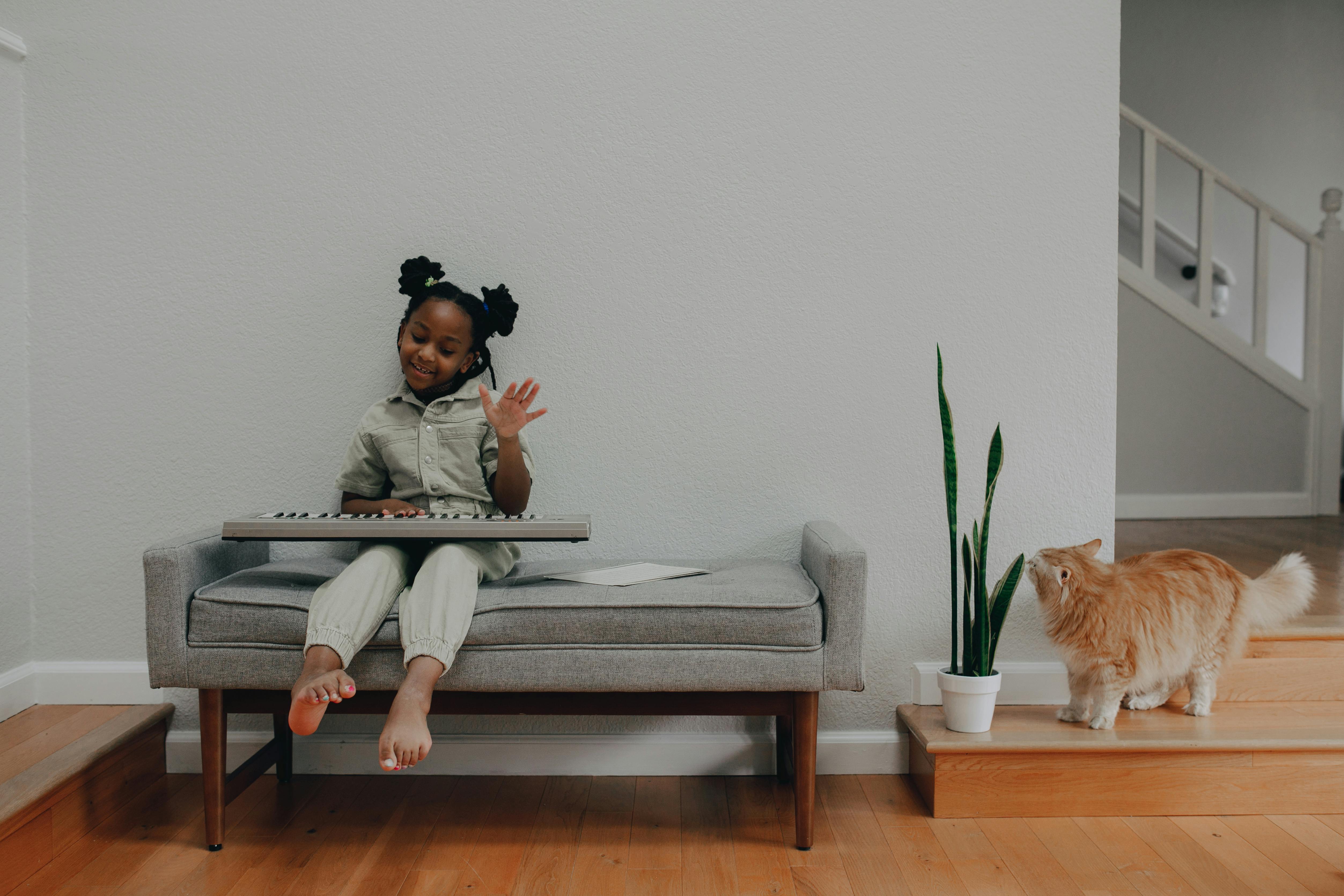 Keyboard Cat Death Photos, Download The BEST Free Keyboard Cat Death