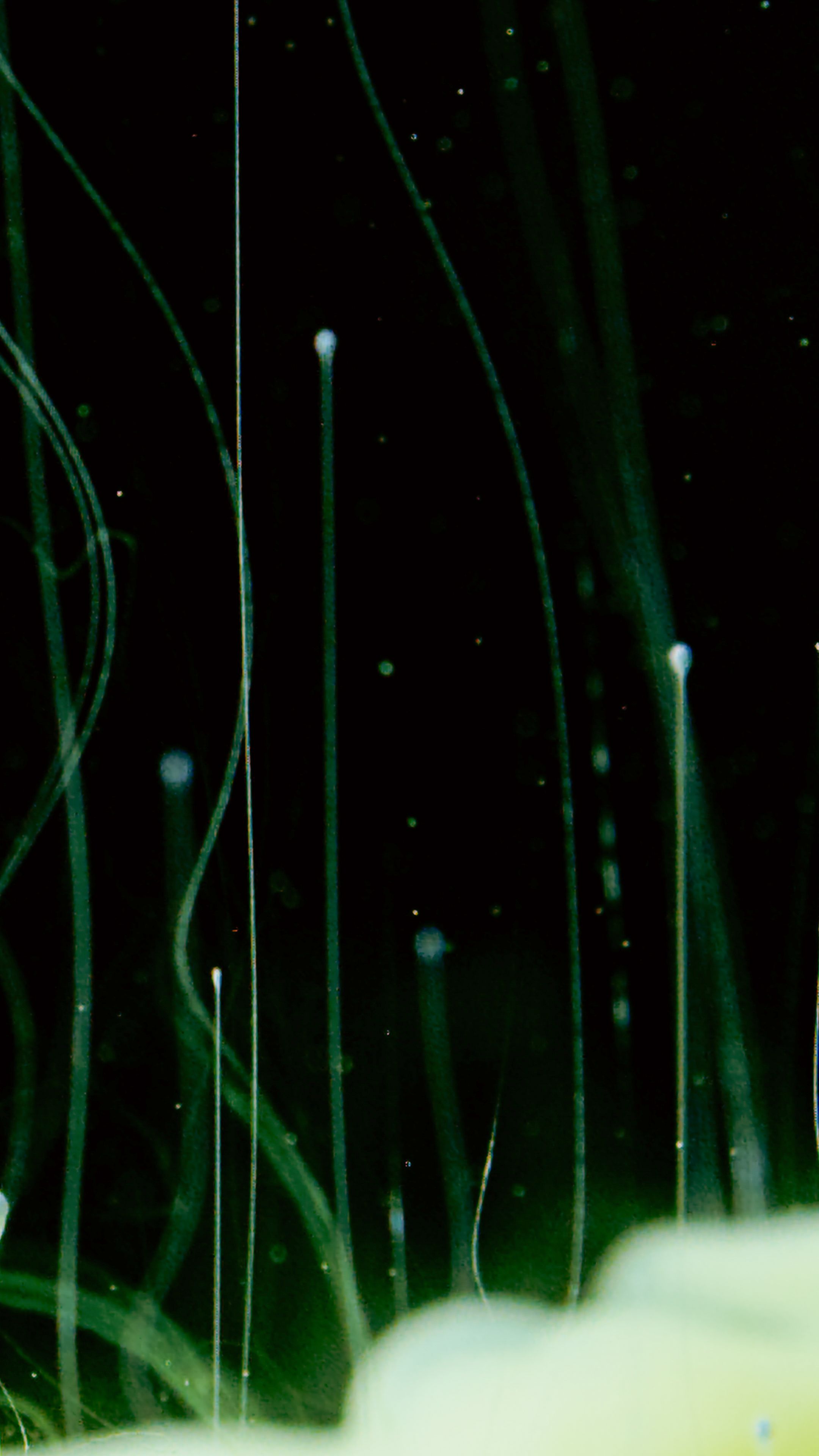 Abstract data flow