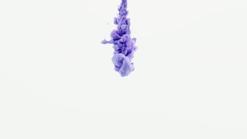 Purple Smoke on White Background