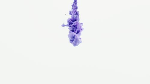 Free Vibrant purple ink swirling in water, creating abstract patterns against a white backdrop. Stock Photo