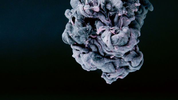 A mesmerizing swirl of colorful fluid creating a dynamic abstract shape against a black background.