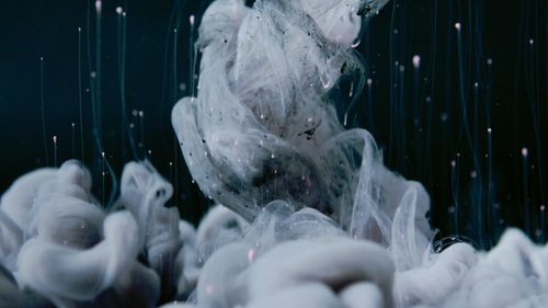 Free A captivating swirl of ink underwater showcasing abstract fluid dynamics and texture. Stock Photo