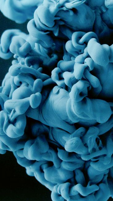 Abstract image of blue ink swirling dynamically in water, creating artistic shapes