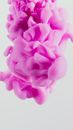 Purple Smoke on White Background