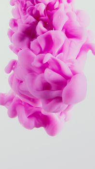 Abstract pink ink swirling in water on white background.