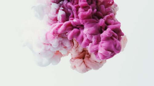 Free Abstract blend of pink and white ink swirling in water for a dynamic, creative backdrop. Stock Photo