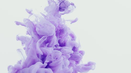 Purple Opaque Smoke on White Background