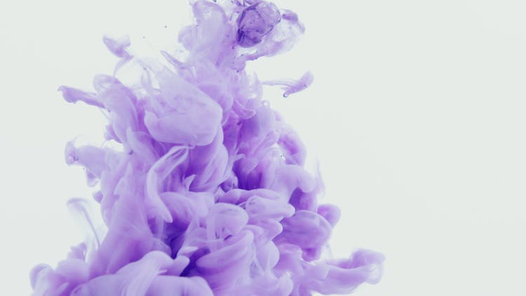 Purple Opaque Smoke On White Background