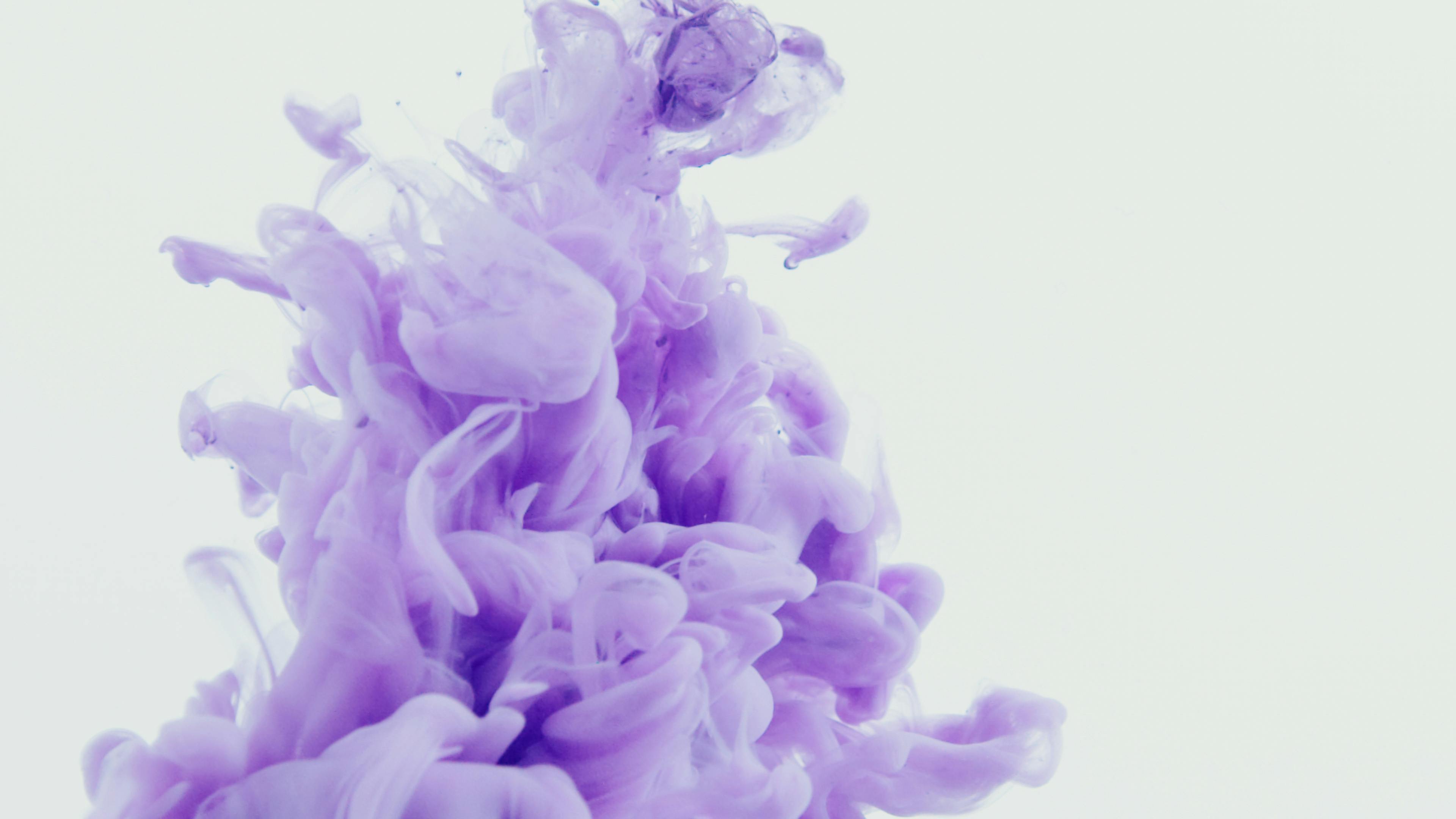 Purple Opaque Smoke on White Background · Free Stock Photo