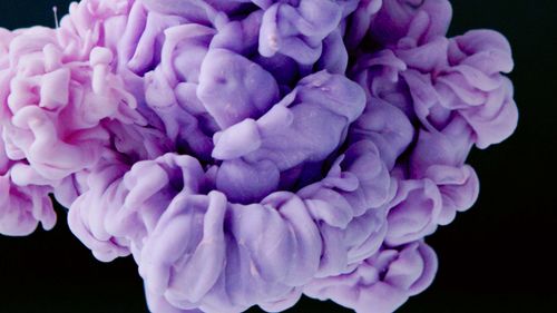 Free Close-up of a vibrant abstract purple paint explosion in dark background, showcasing detailed textures. Stock Photo