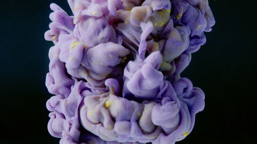 Free Mesmerizing close-up of purple and yellow ink swirling in water, creating abstract patterns. Stock Photo