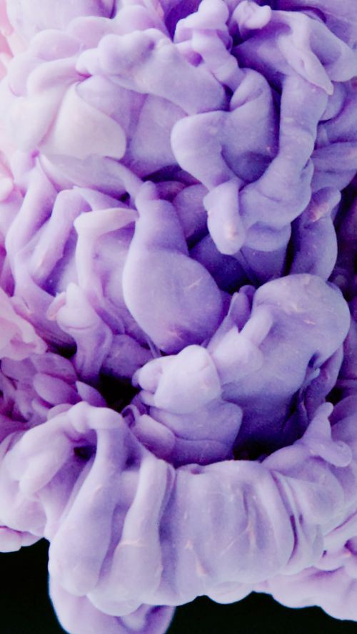 Free Close-up of dynamic purple paint resembling an abstract expressionist artwork. Stock Photo