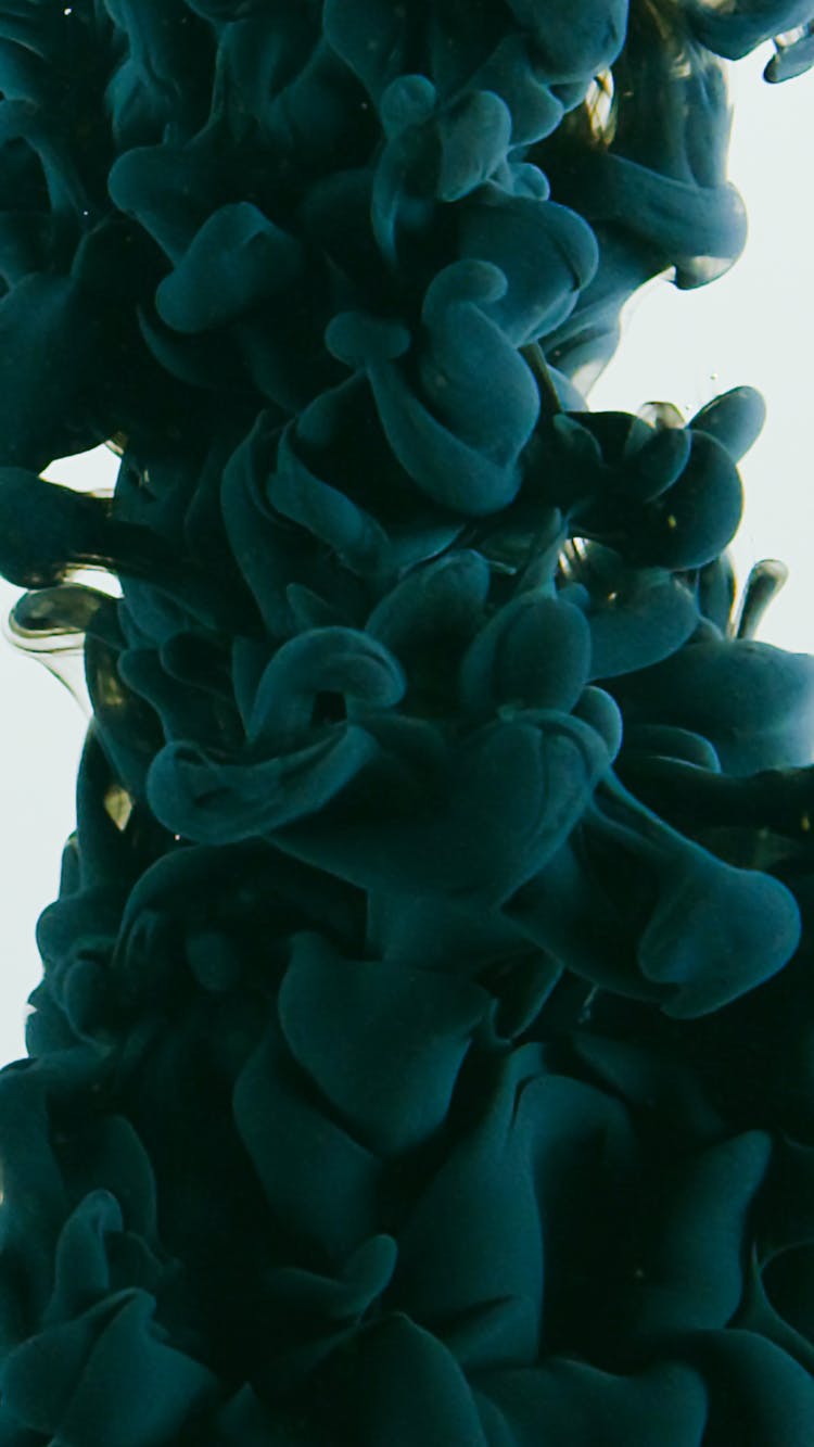 Close-up Shot Of A Ink Underwater