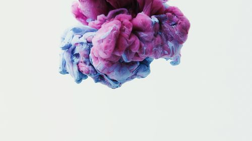 Free Dynamic fluid art with swirling pink and purple ink on white. Ideal for modern design. Stock Photo