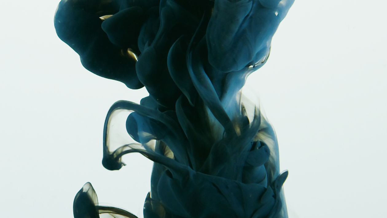 Blue Rose in Close Up Photography · Free Stock Photo
