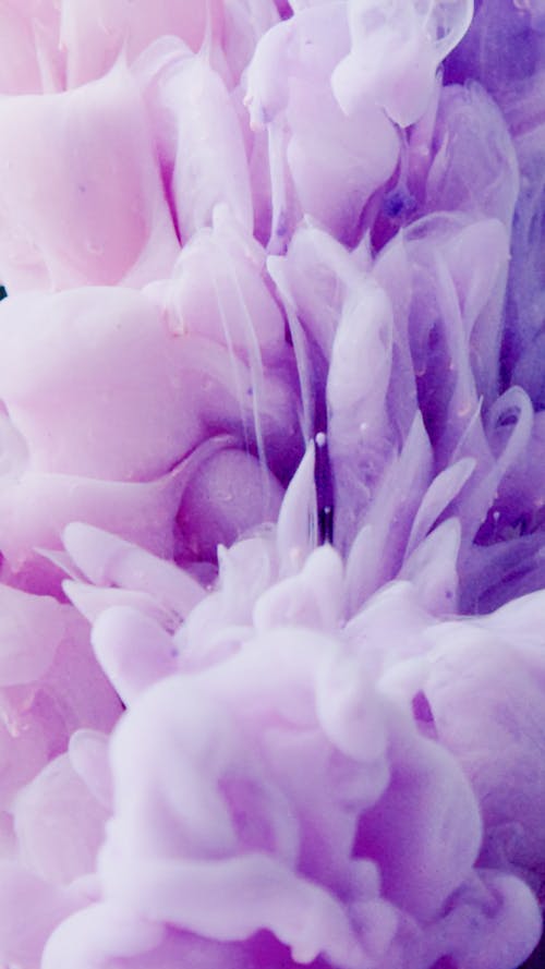 Close-Up Photo of a Purple Ink on an Aqueous Photography