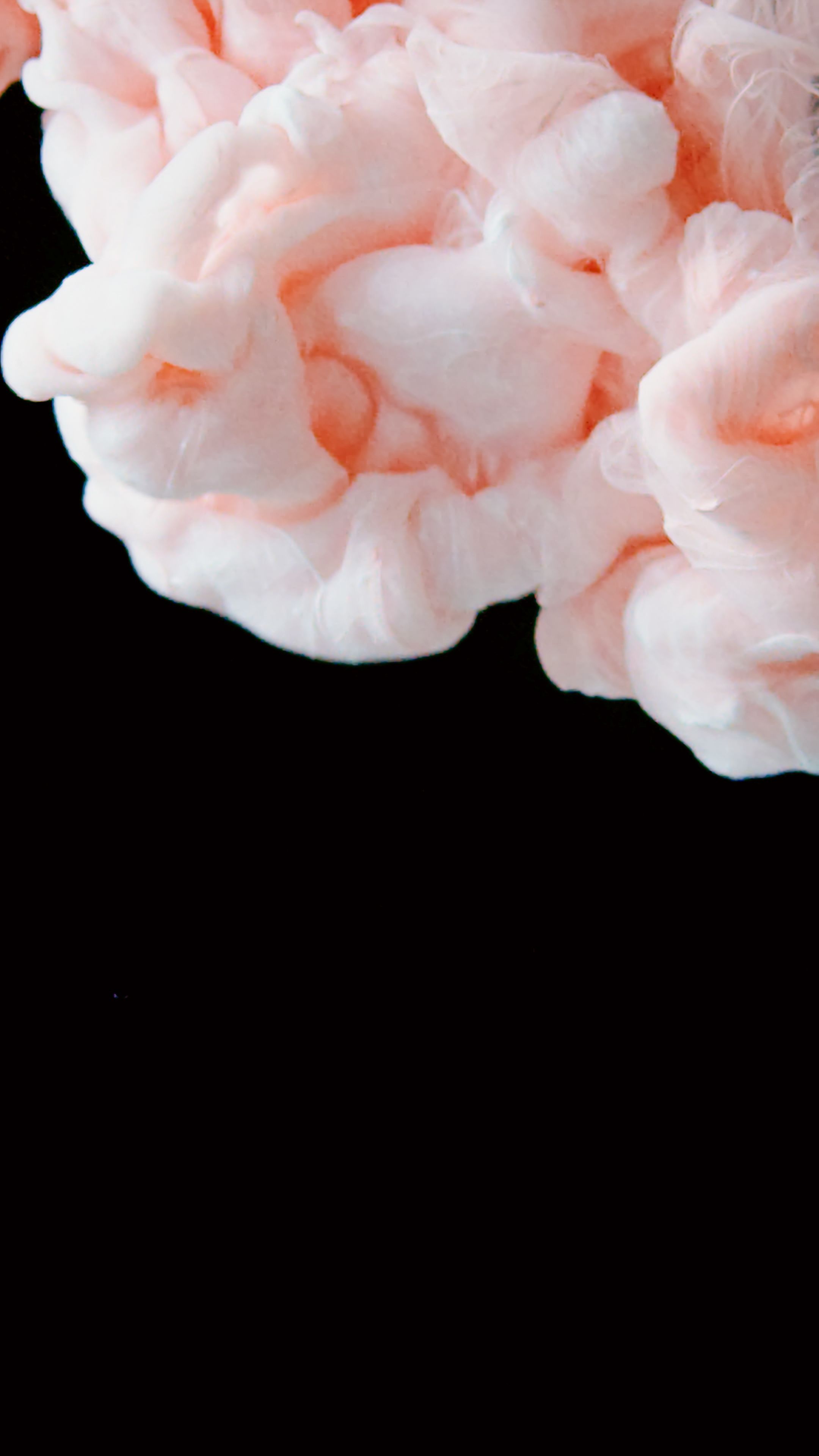 Photo of Pink Ink with Black Background · Free Stock Photo