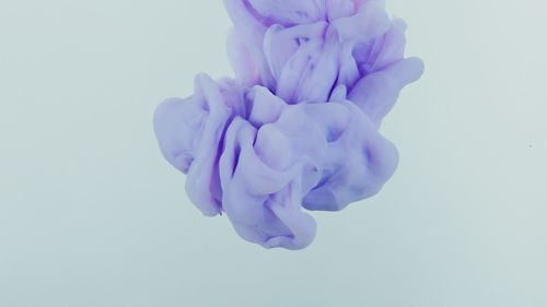 Free Soft purple ink swirling gracefully in clear water, creating an abstract, artistic visual. Stock Photo