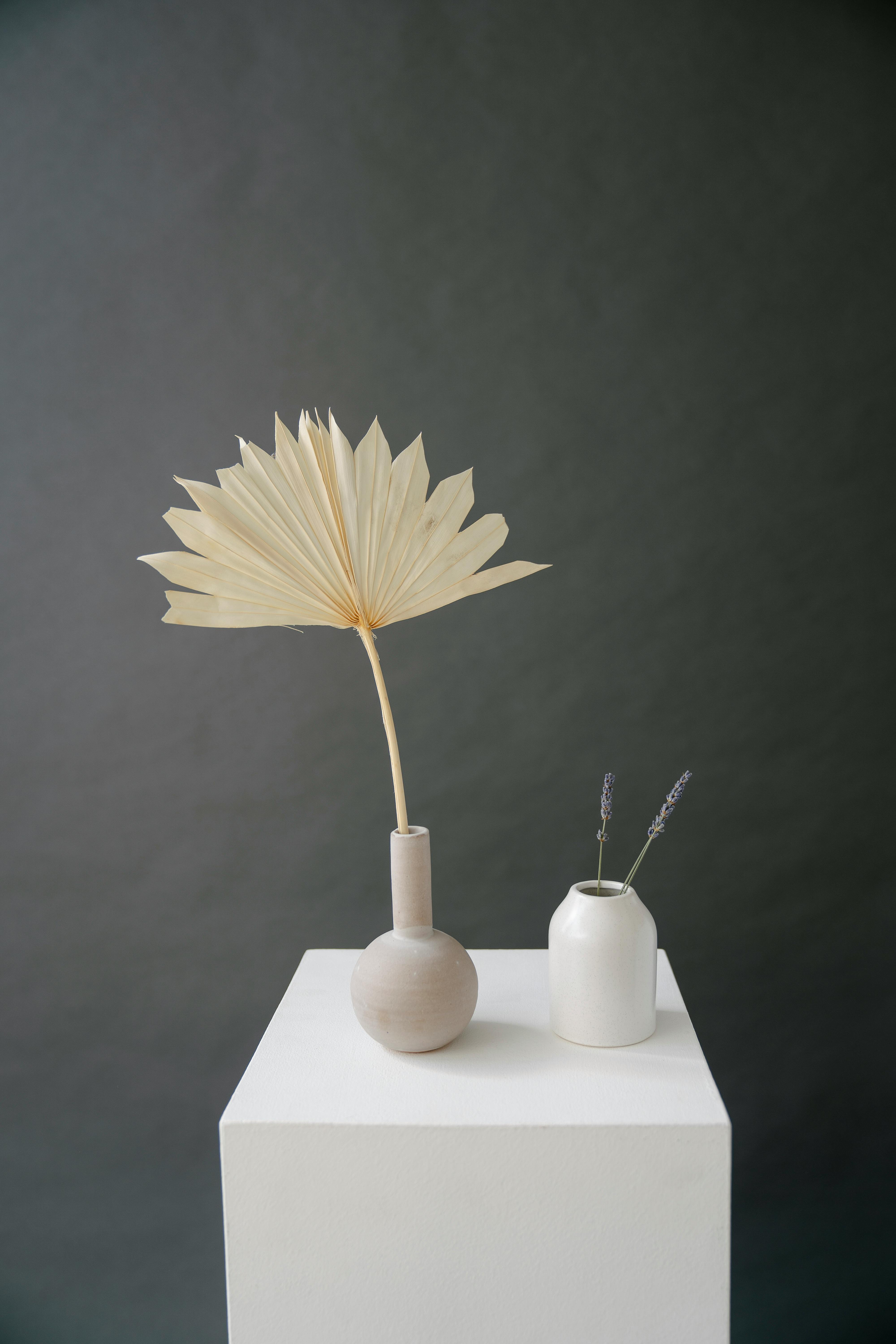 vases with dried sun palm and blooming twigs