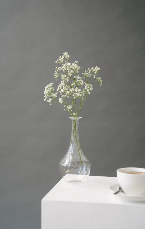 Free Blooming flowers in transparent glass vase placed on pedestal near cup of aromatic coffee on gray background Stock Photo