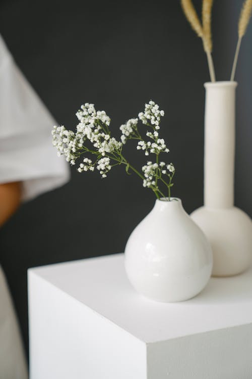 Thin green twigs with small white flowers in vase near dried plant on white stand against gray background in studio