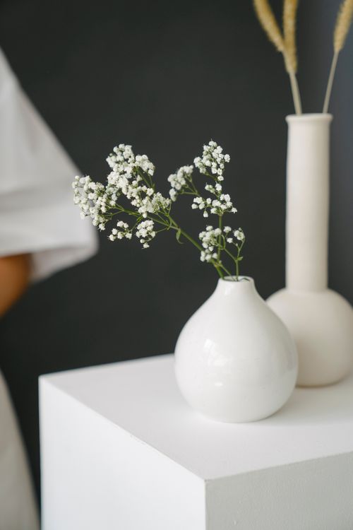 Free Thin green twigs with small white flowers in vase near dried plant on white stand against gray background in studio Stock Photo