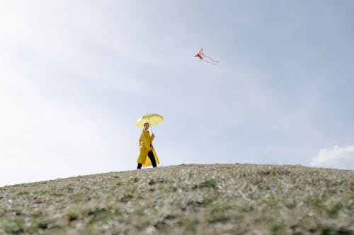 Gratis lagerfoto af bane, flyve, gul frakke Lagerfoto