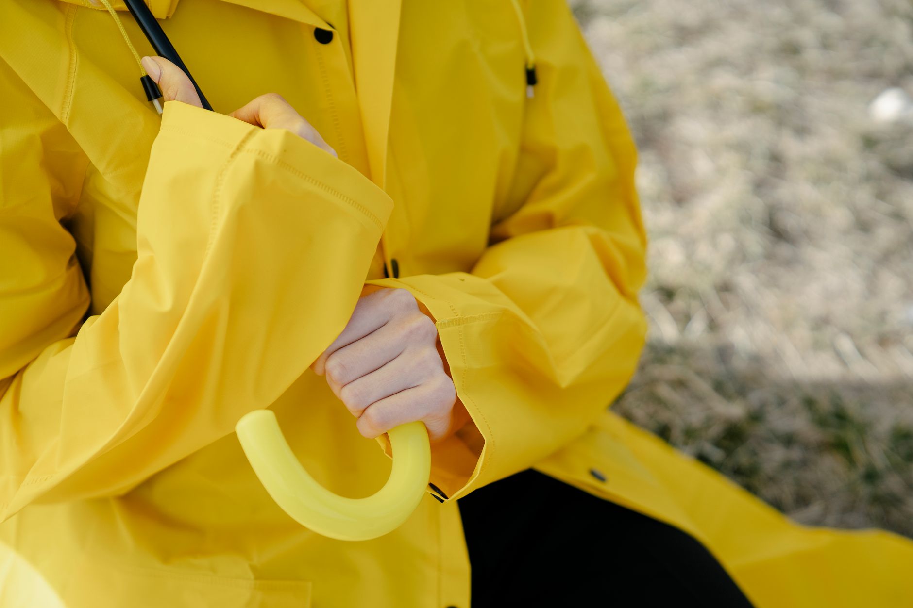 Best Windproof Compact Umbrellas (2026)