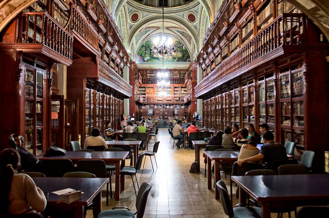 People at Library Sitting Down at Tables