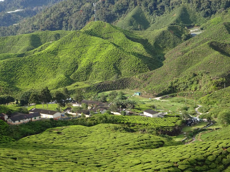 Interfața principală a arhivei digitale pe o tabletă