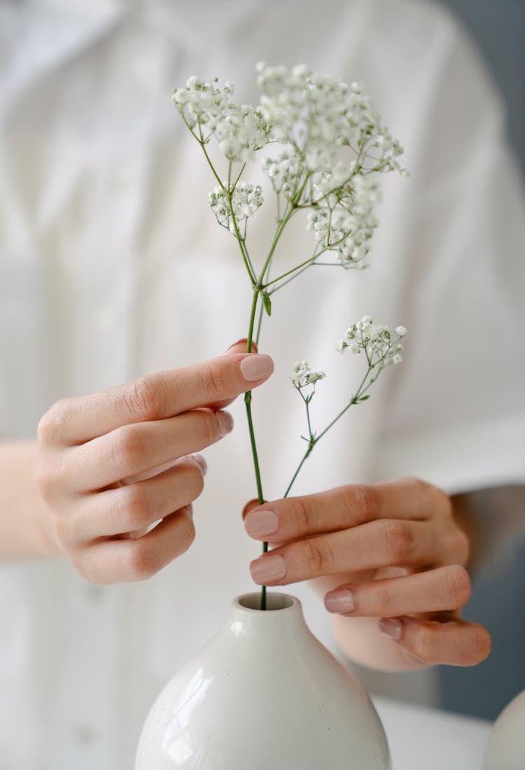 Crop Faceless Woman Putting Stem Of Babys Breath Flower In Vase