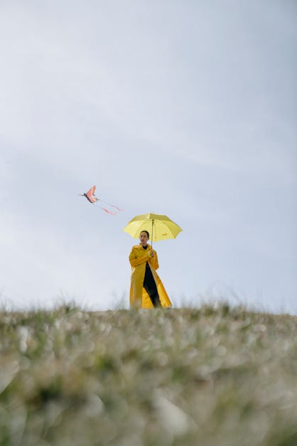 How to fly a para foil stunt kite