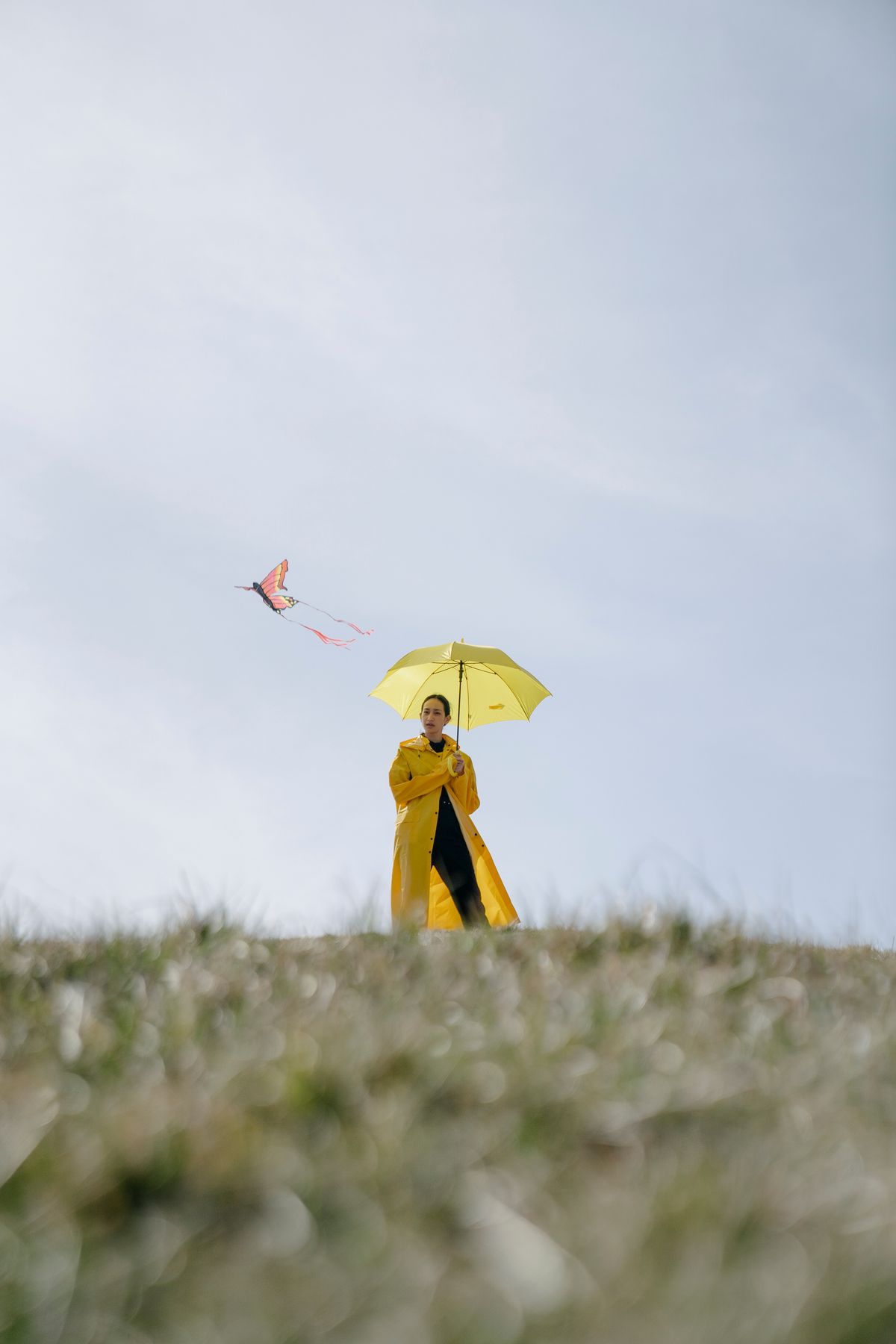 6,000+张最精彩的“Wind”图片 · 100%免费下载 · Pexels素材图片