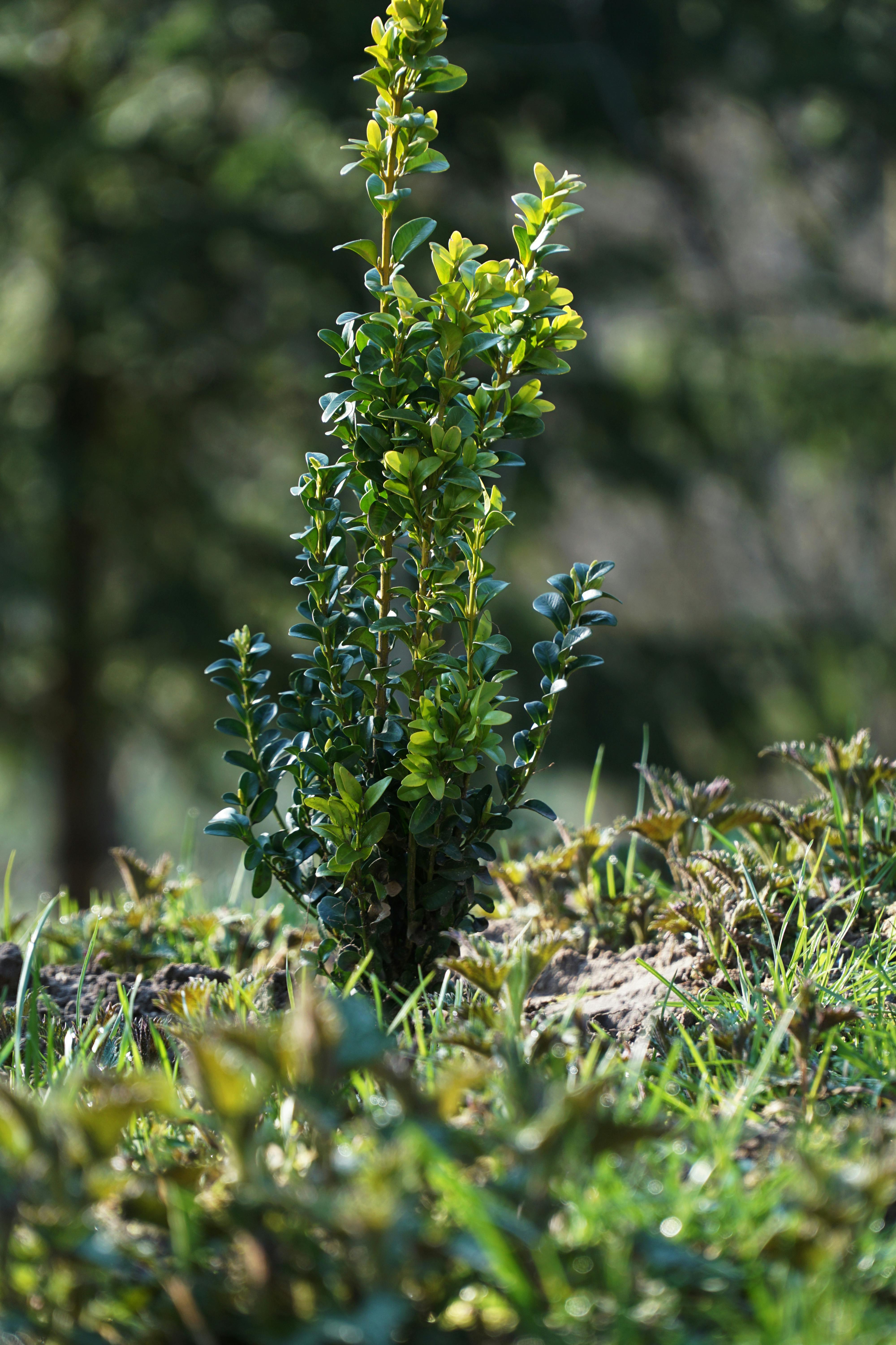 Real estate agent with clients