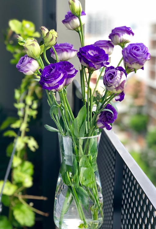 Fotografia De Close Up De Flores Em Um Vaso
