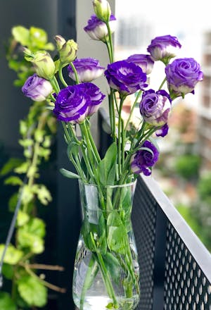 Lavender Essential Oil as a Natural Remedy for Better Sleep