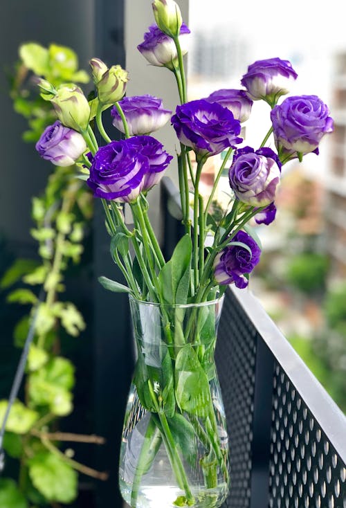Natural Remedies for Stress Relief with Lavender