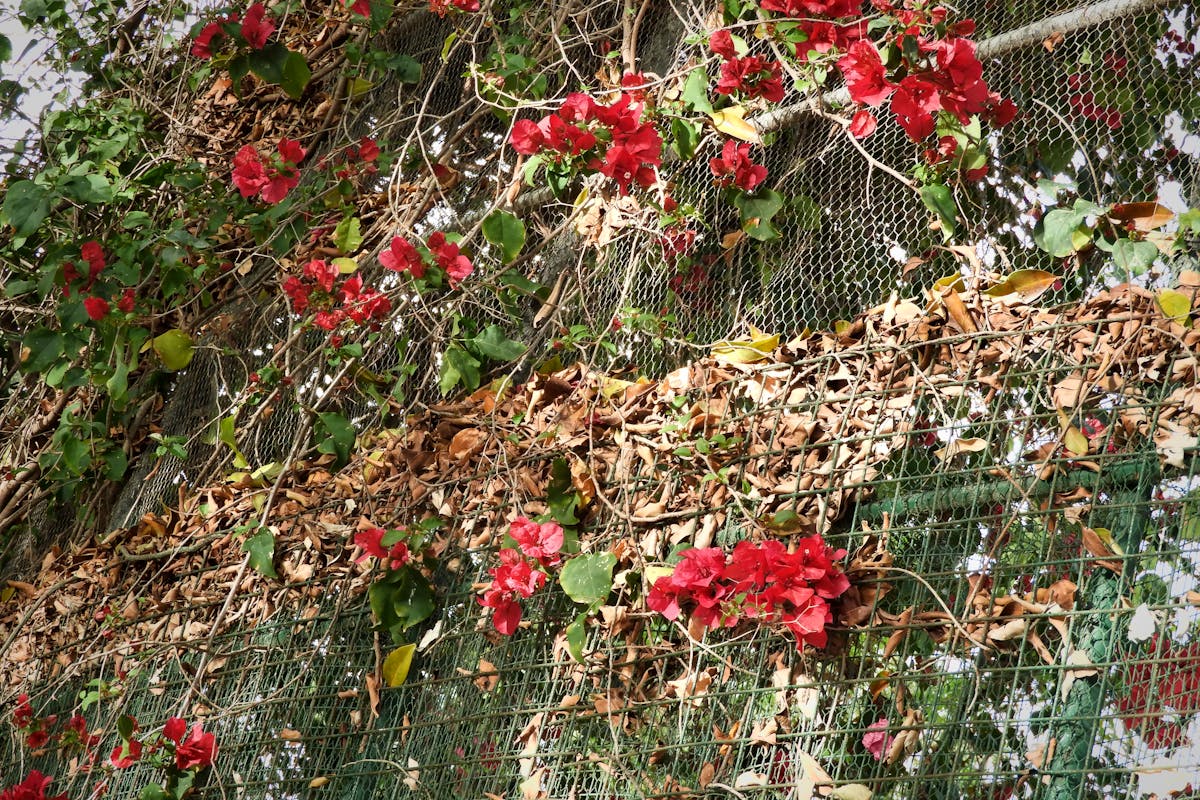 An older woman sitting by the window with a caregiver offering comfort