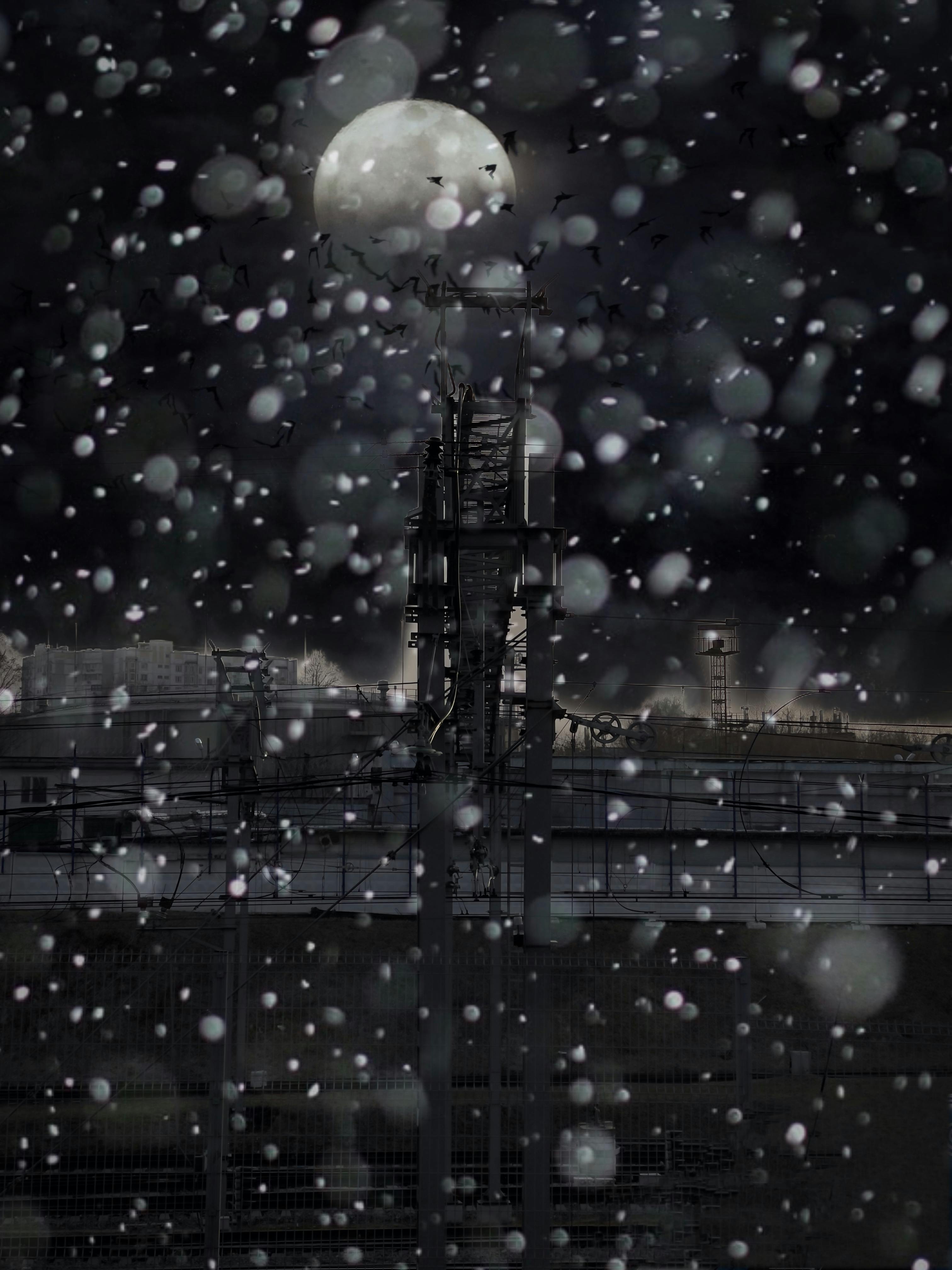 A professional music executive and artist reviewing analytics