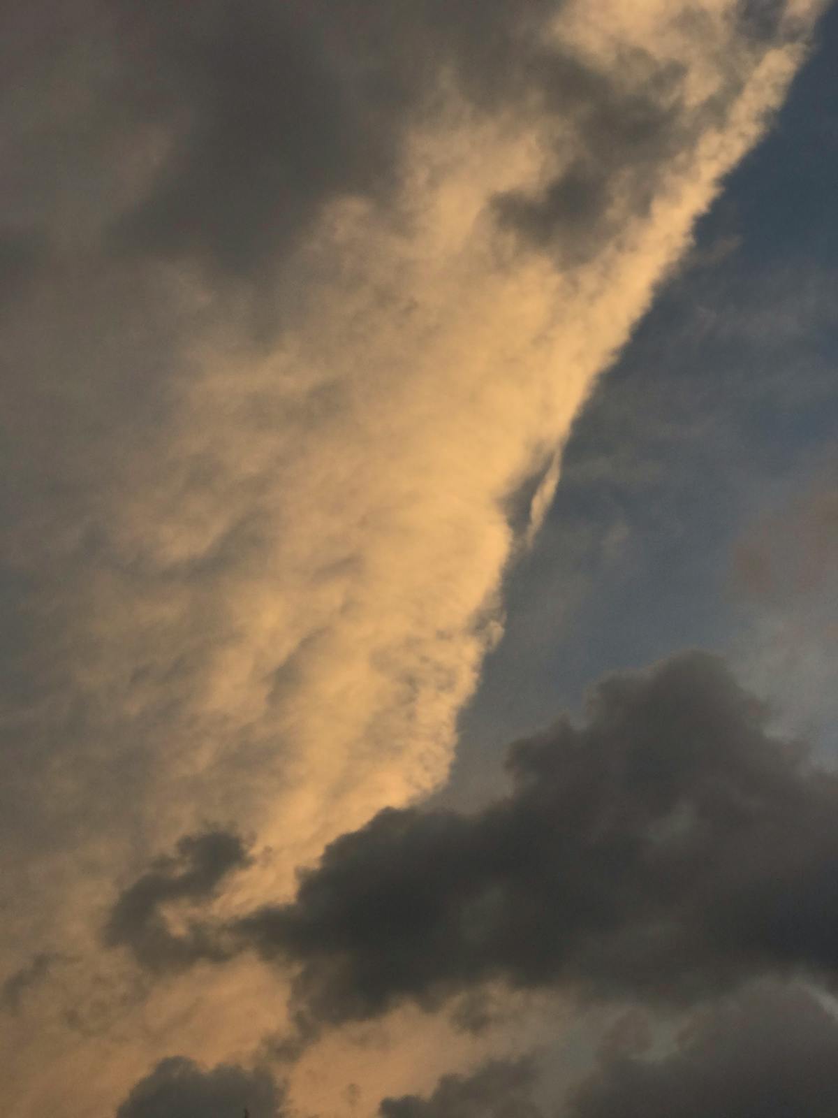 Treatment Facilities