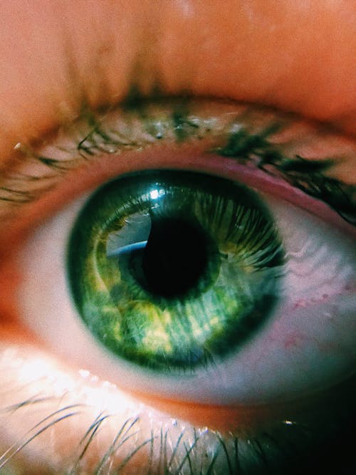 Free Human Green Eye in Close Up Stock Photo